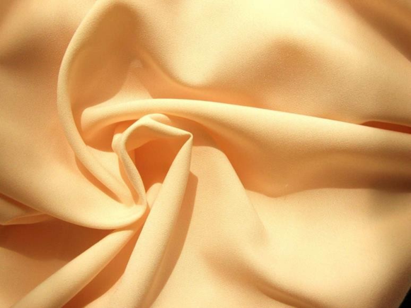 focus wedding planner